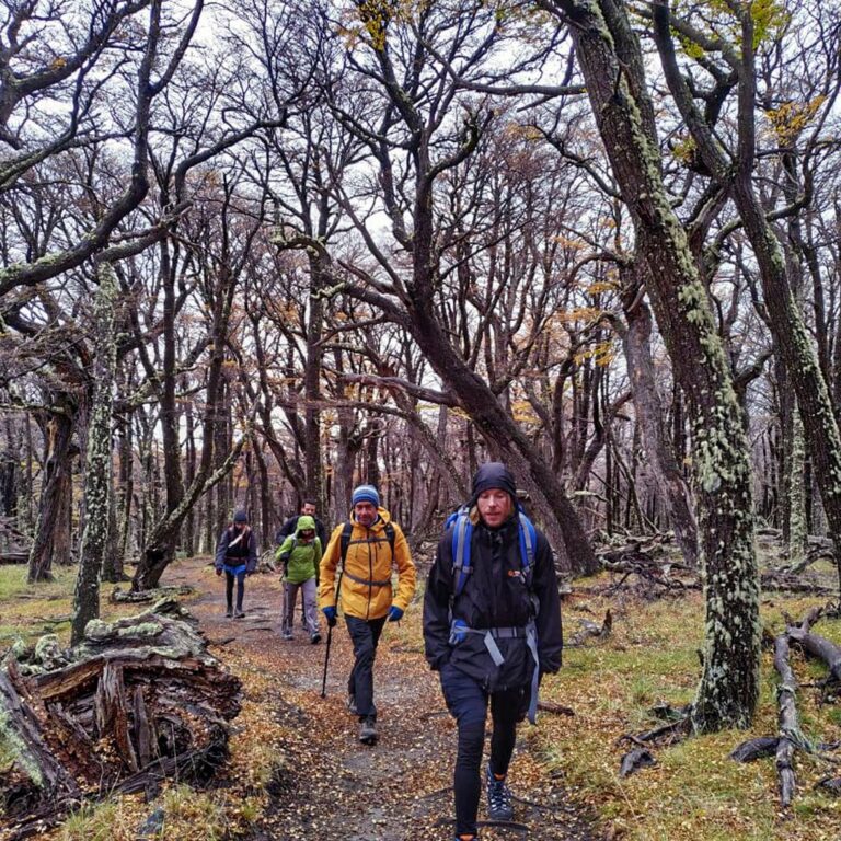 281563549_2260305620795711_1158543310181417795_n